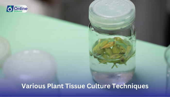 Lesson 21: Describing Various Plant Tissue Culture Techniques